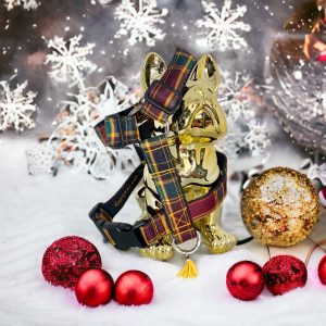 Harnais TARTAN BORDEAUX