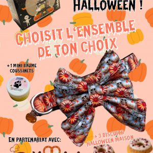 MA BOX HALLOWEEN