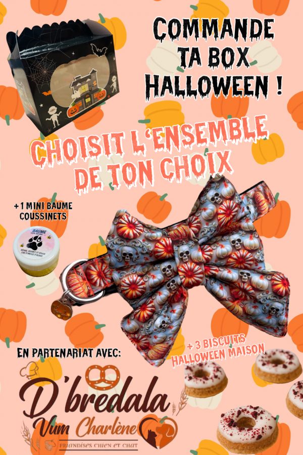 MA BOX HALLOWEEN