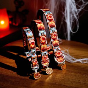 Collier CITROUILLE CHIC (tissu imperméable)