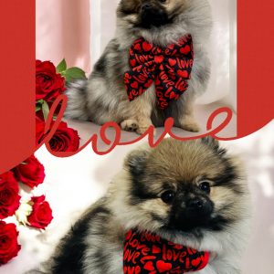 BANDANA ou NOEUD DE LUXE LOVE TO LOVE