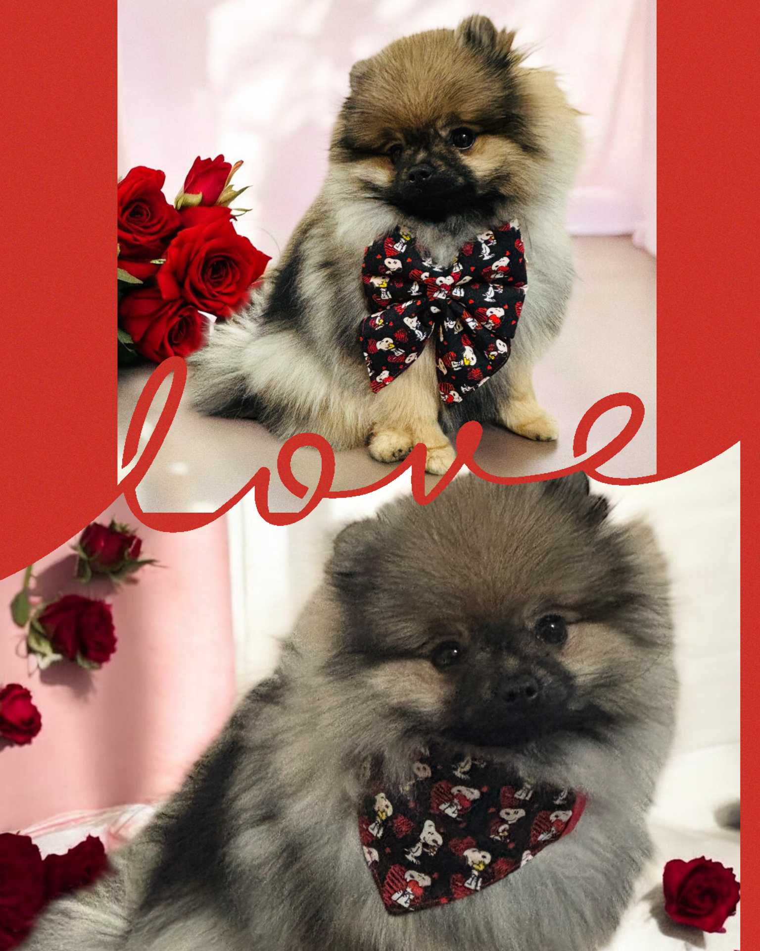 BANDANA ou NOEUD DE LUXE SNOOPLOVE