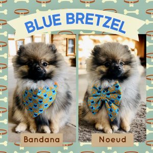 BANDANA ou NOEUD DE LUXE BLUE BRETZEL