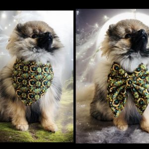 BANDANA ou NOEUD DE LUXE MOON BUTTERFLY