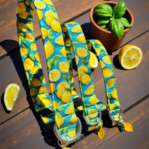 Collier CITRON