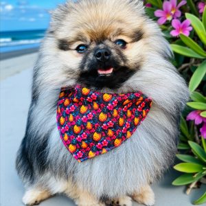 BANDANA ou NOEUD DE LUXE SUMMER ANANAS